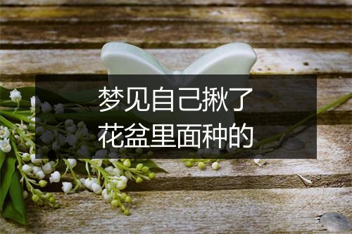 梦见自己揪了花盆里面种的