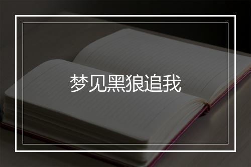 梦见黑狼追我