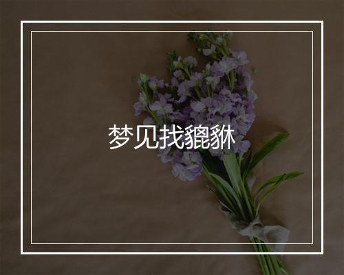 梦见找貔貅