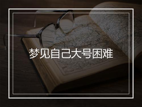 梦见自己大号困难