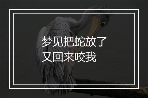 梦见把蛇放了又回来咬我