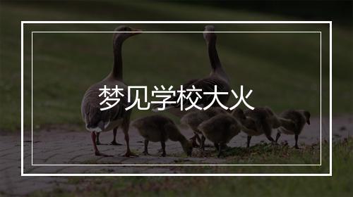 梦见学校大火