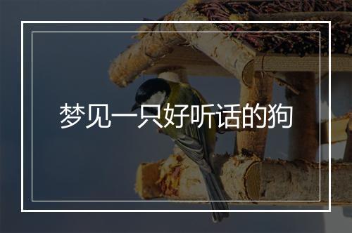 梦见一只好听话的狗