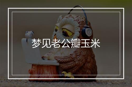 梦见老公瓣玉米