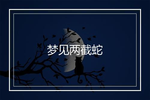 梦见两截蛇