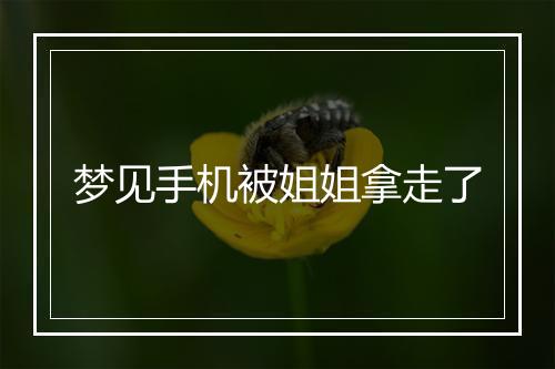 梦见手机被姐姐拿走了