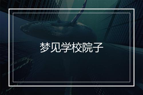 梦见学校院子