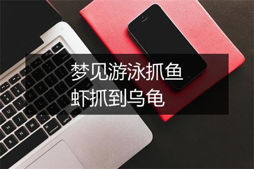 梦见游泳抓鱼虾抓到乌龟