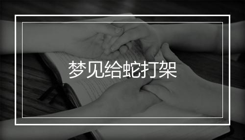 梦见给蛇打架