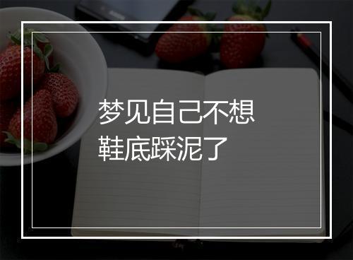 梦见自己不想鞋底踩泥了