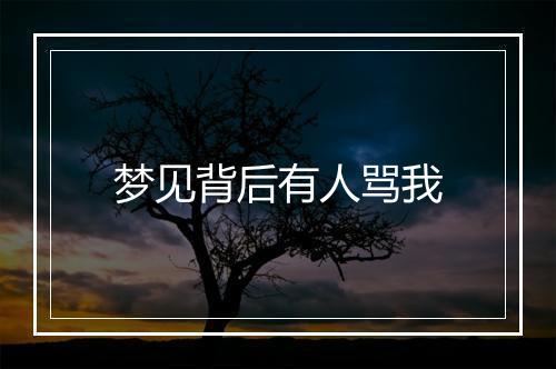 梦见背后有人骂我