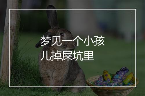 梦见一个小孩儿掉屎坑里