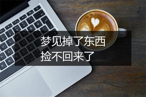 梦见掉了东西捡不回来了