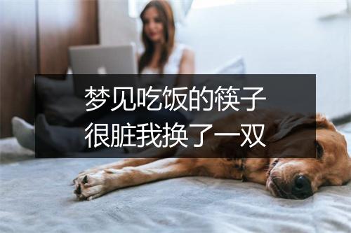 梦见吃饭的筷子很脏我换了一双