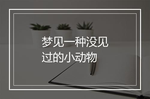 梦见一种没见过的小动物