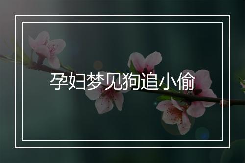 孕妇梦见狗追小偷