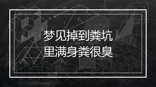 梦见掉到粪坑里满身粪很臭