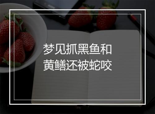 梦见抓黑鱼和黄鳝还被蛇咬