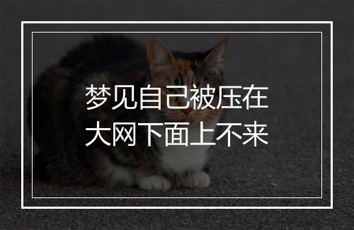 梦见自己被压在大网下面上不来