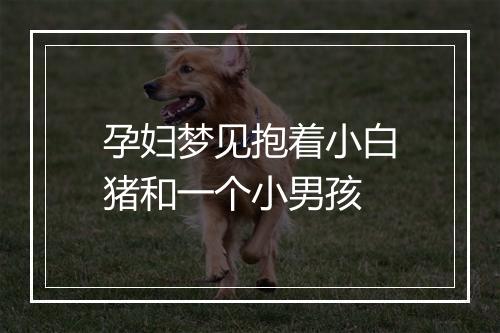 孕妇梦见抱着小白猪和一个小男孩