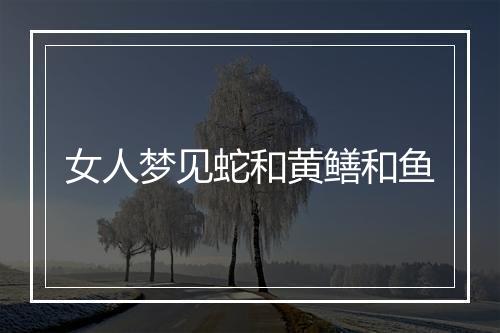 女人梦见蛇和黄鳝和鱼