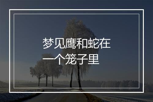 梦见鹰和蛇在一个笼子里