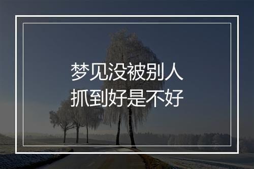 梦见没被别人抓到好是不好