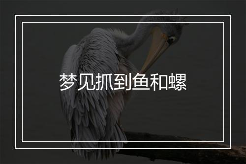 梦见抓到鱼和螺