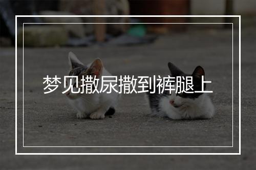 梦见撒尿撒到裤腿上