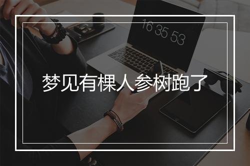 梦见有棵人参树跑了