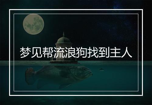 梦见帮流浪狗找到主人