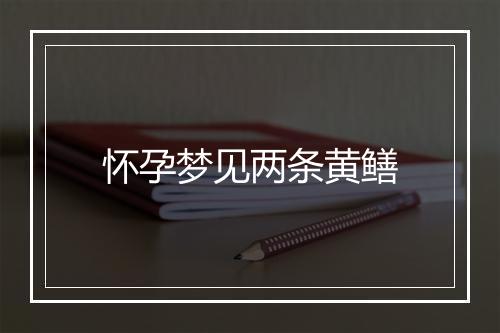 怀孕梦见两条黄鳝