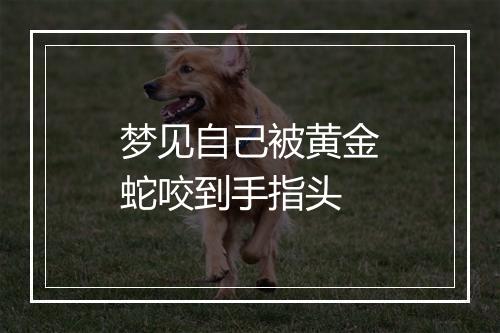 梦见自己被黄金蛇咬到手指头