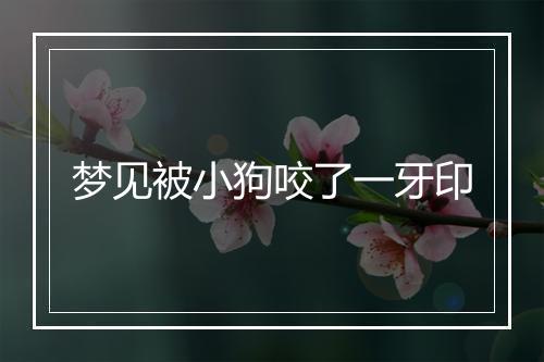 梦见被小狗咬了一牙印