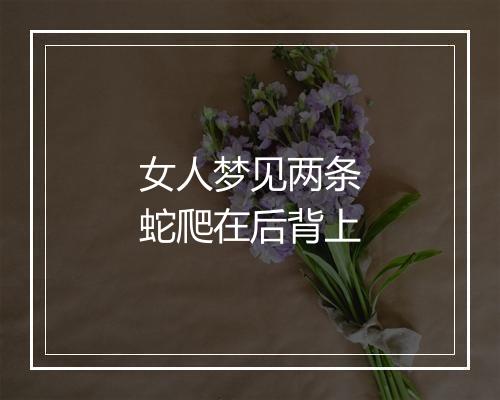 女人梦见两条蛇爬在后背上