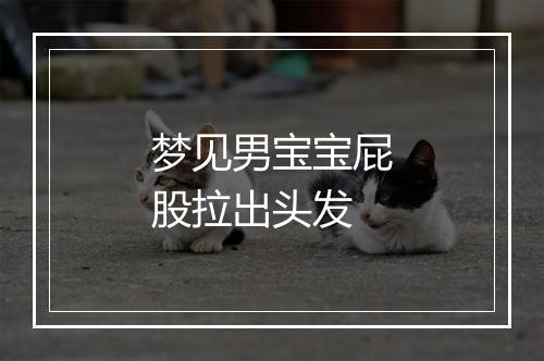 梦见男宝宝屁股拉出头发