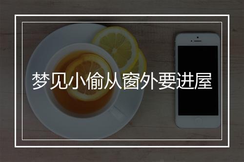 梦见小偷从窗外要进屋