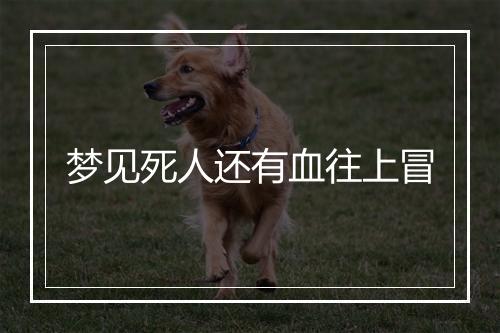 梦见死人还有血往上冒