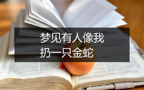 梦见有人像我扔一只金蛇