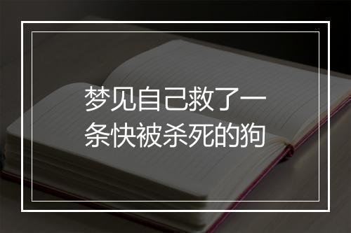 梦见自己救了一条快被杀死的狗