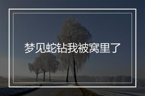 梦见蛇钻我被窝里了