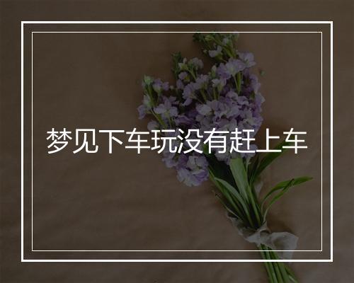 梦见下车玩没有赶上车