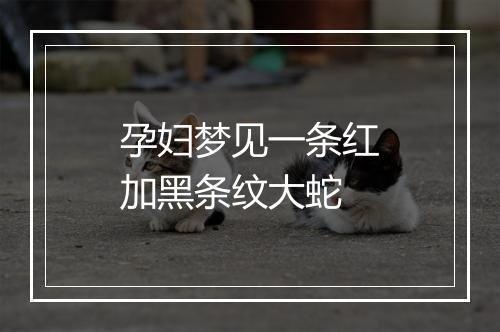 孕妇梦见一条红加黑条纹大蛇