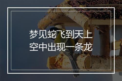 梦见蛇飞到天上空中出现一条龙