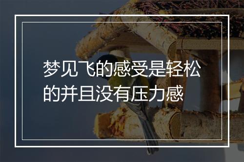 梦见飞的感受是轻松的并且没有压力感