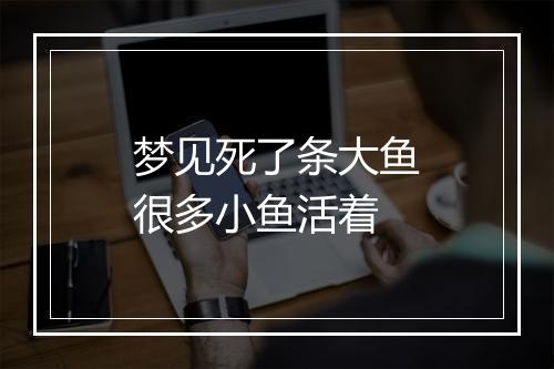 梦见死了条大鱼很多小鱼活着