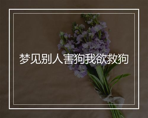 梦见别人害狗我欲救狗