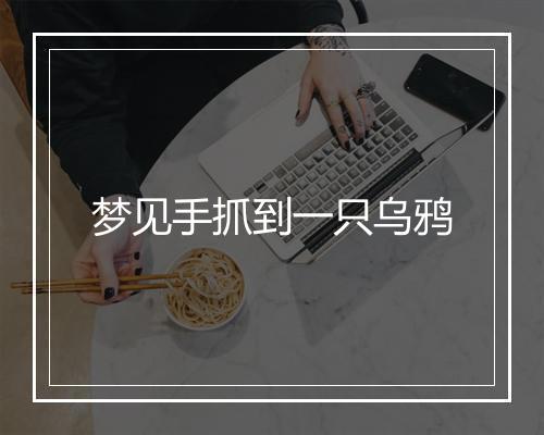 梦见手抓到一只乌鸦