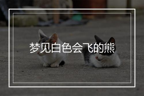 梦见白色会飞的熊