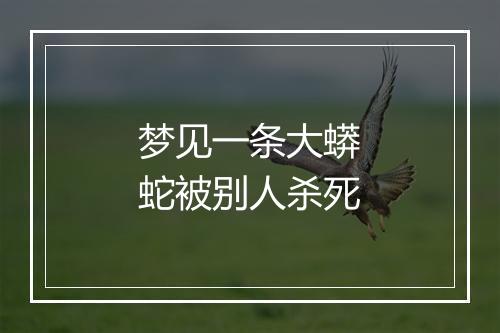 梦见一条大蟒蛇被别人杀死